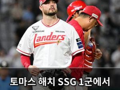 토마스 해치 SSG 1군에서 제외돼 팬들 실망
