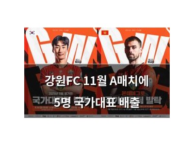 강원FC 11월 A매치에 5명 국가대표 배출