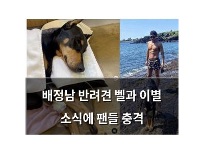배정남 반려견 벨과 이별 소식에 팬들 충격