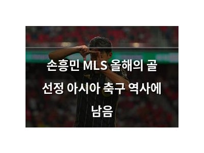 손흥민 MLS 올해의 골 선정 아시아 축구 역사에 남음