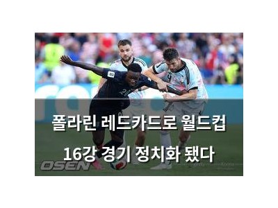 폴라린 레드카드로 월드컵 16강 경기 정치화 됐다