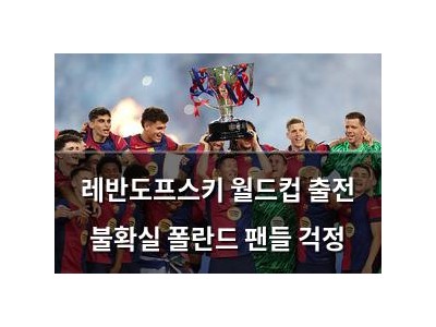 레반도프스키 월드컵 출전 불확실 폴란드 팬들 걱정