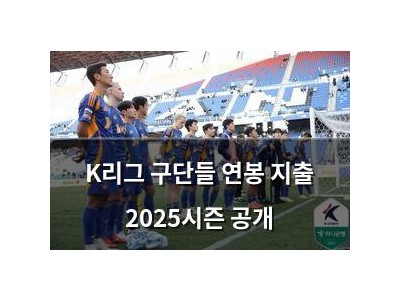 K리그 구단들 연봉 지출 2025시즌 공개