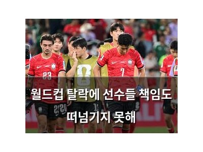 월드컵 탈락에 선수들 책임도 떠넘기지 못해