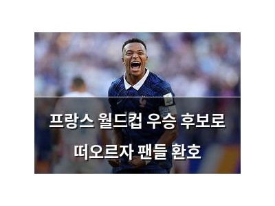 프랑스 월드컵 우승 후보로 떠오르자 팬들 환호
