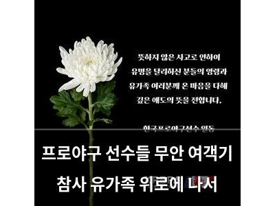 프로야구 선수들 무안 여객기 참사 유가족 위로에 나서