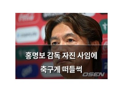 홍명보 감독 자진 사임에 축구계 떠들썩