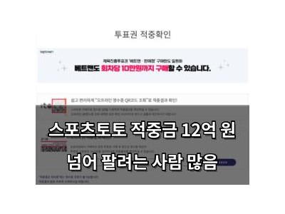 스포츠토토 적중금 12억 원 넘어 팔려는 사람 많음