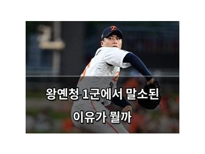 왕옌청 1군에서 말소된 이유가 뭘까